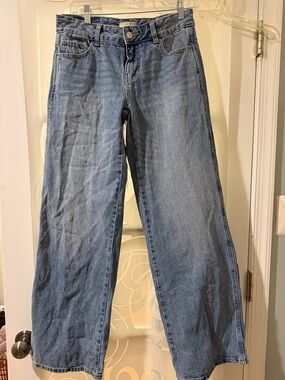 PacSun Light Blue Casey Low-Rise Baggy Wide Leg Jeans - Size 26